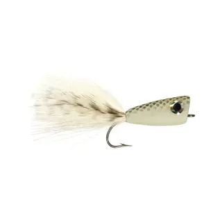 Rainys In Shore Popper