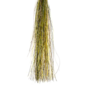 Senyo Shadow Fiber