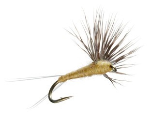 Comparadun PMD - Sz. 16 - Tight Lines Fly Fishing Co.