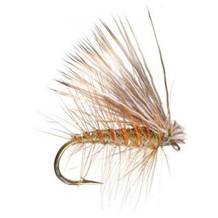 Elk Hair Caddis