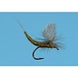 Clear Wing Extended Body Blue-Winged Olive