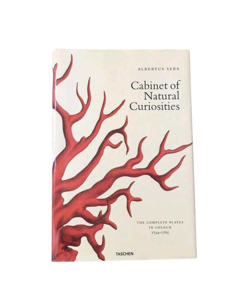 Albertus Seba Cabinet Of Natural Curiosities Oversized Coffee Albertus Seba Cabinet Of Natural