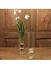 Tall Clear Bulb Vase