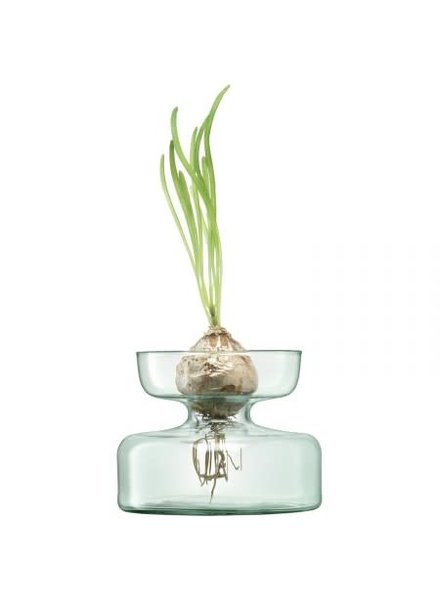 Canopy Bulb Planter Small