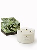Roland Triple Wick Soy Candle