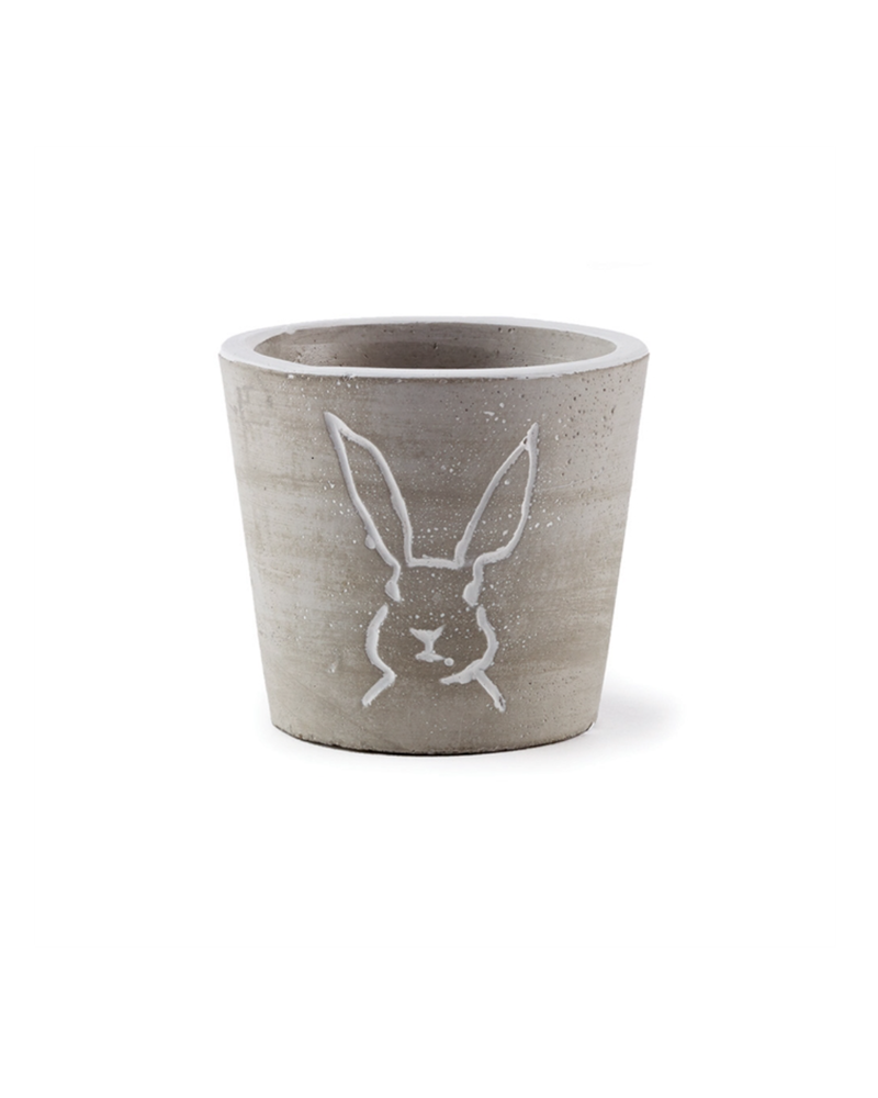 PETER RABBIT MINI CACHEPOT