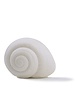 Assorted Sea Shell Soap