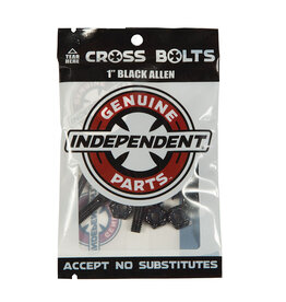 INDEPENDENT SKATEBOARD TRUCKS INDEPENDENT - HARDWARE - 1" ALLEN