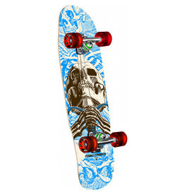 skateboard shop for sale