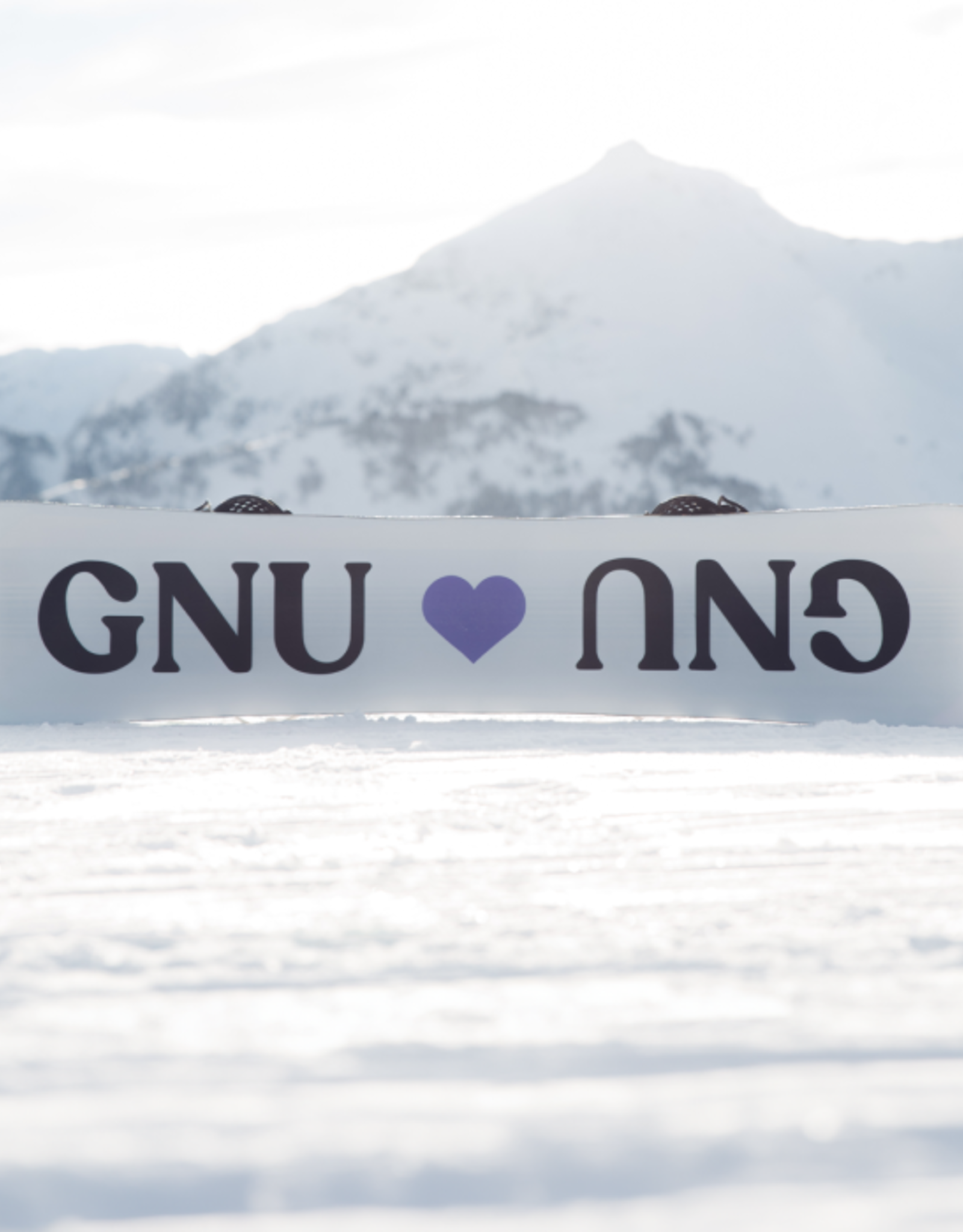 GNU SNOWBOARDS GNU - LADIES CHOICE 145.5 2023/24