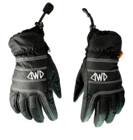 SALMON ARMS - GLOVE DWD 2023/24