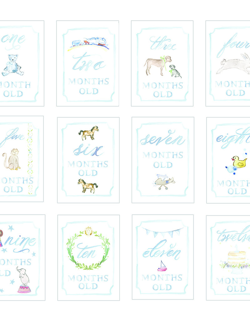 Over the Moon Month by Month Baby Cards
