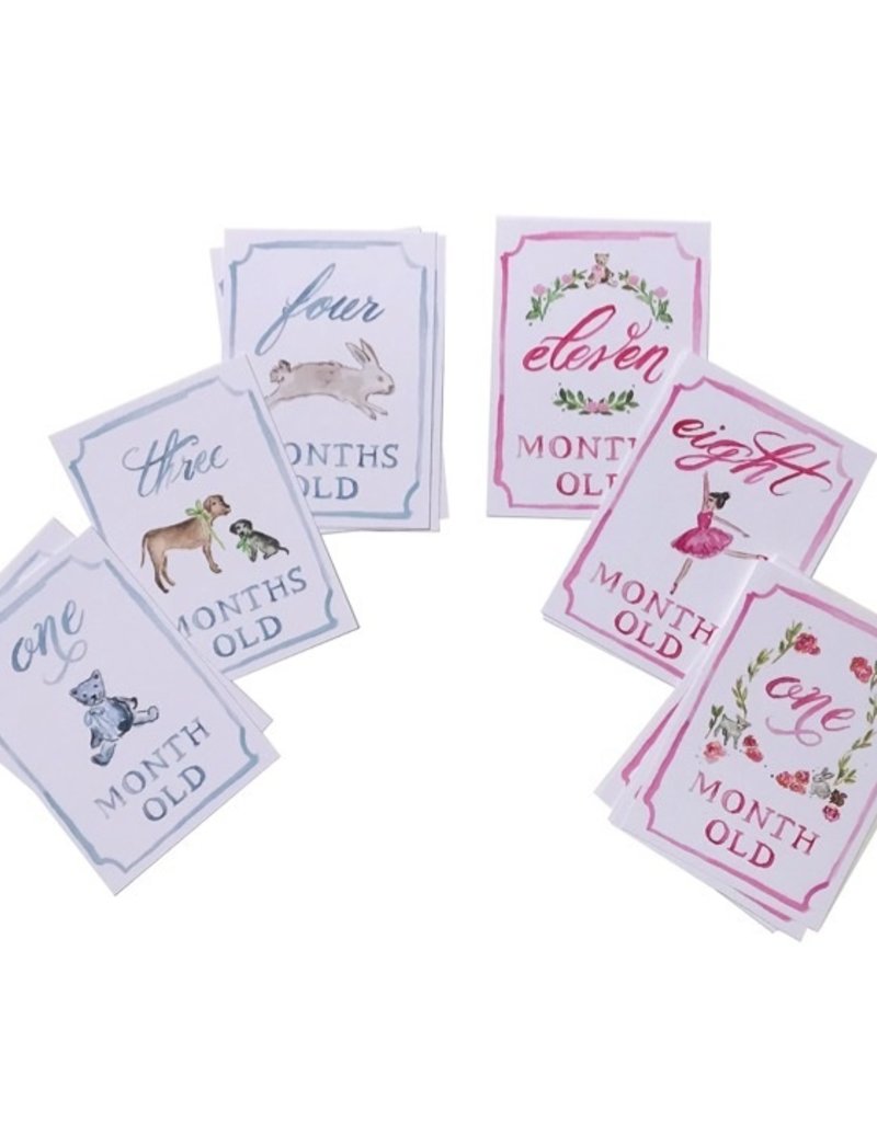 Over the Moon Month by Month Baby Cards