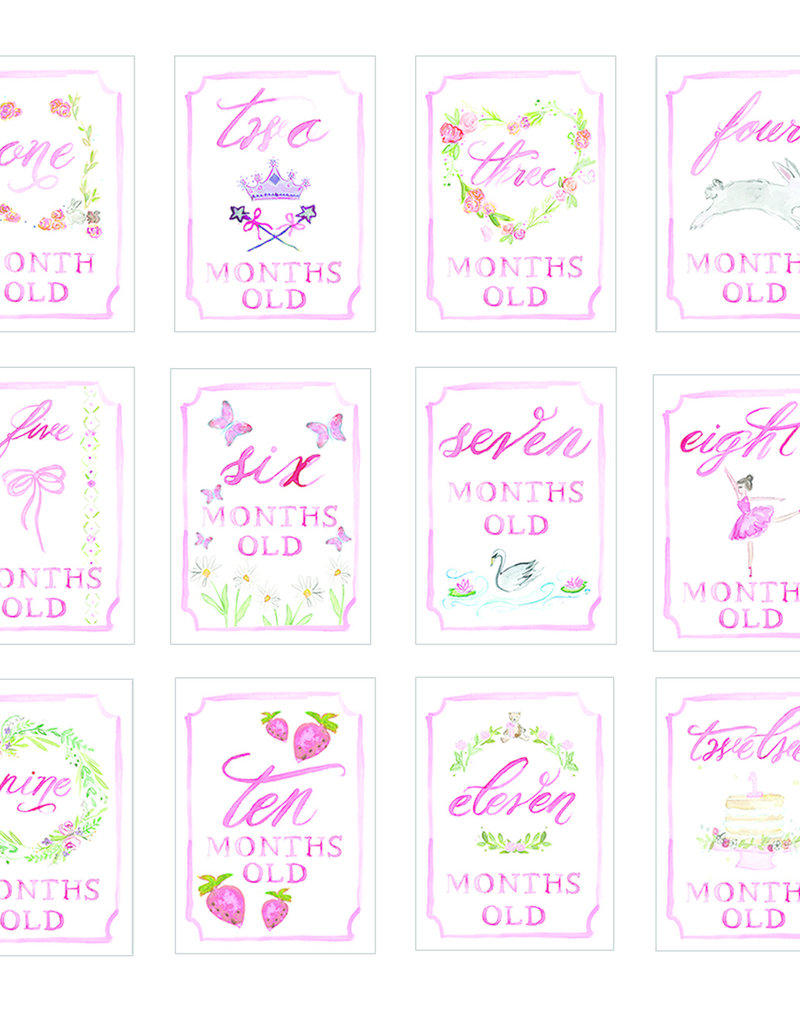 Over the Moon Month by Month Baby Cards
