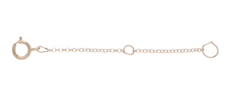 ENewton 2 Necklace Extender Gold - The Village Exchange