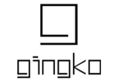 Gingko