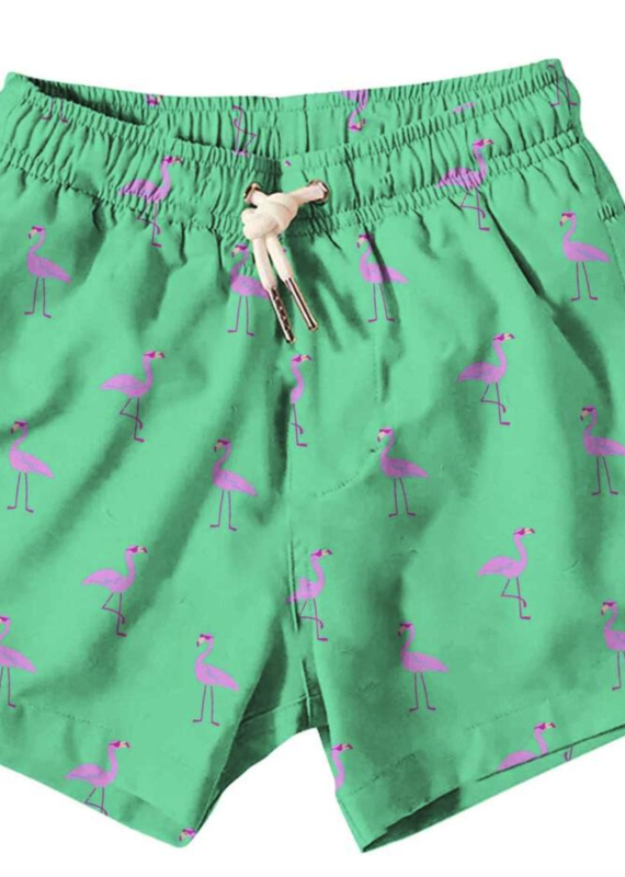 Green Flamingo Swim Trunks