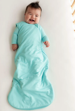 Kyte Baby Kyte Sleep Bag 1.0- XS (7-13 lbs)