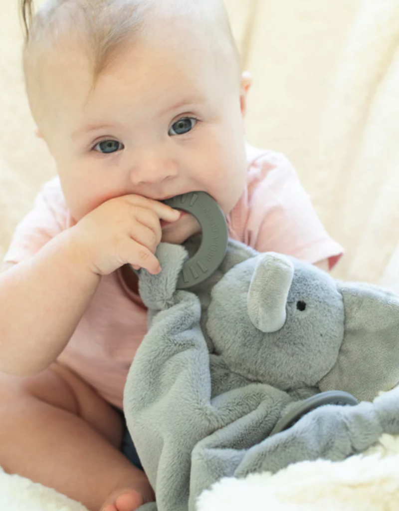 Bella Tunno Bella Tunno Elephant Teether Buddy