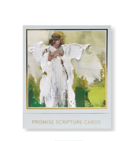 Anne Neilson Promise Scripture Cards
