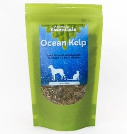 Animal Essentials Animal Essentials Ocean Kelp 24oz