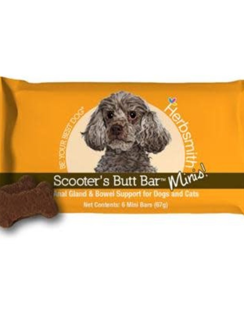 Bassett hound anal glands for Congratulate, bassett hound anal glands think