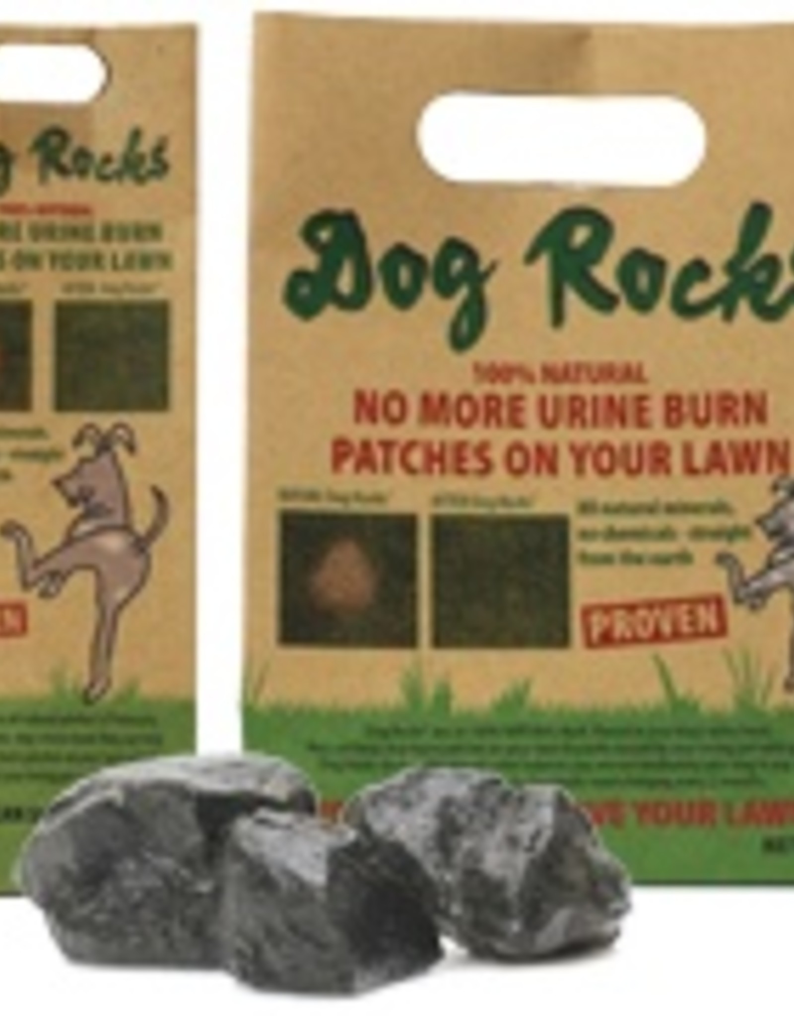 Dog Rocks