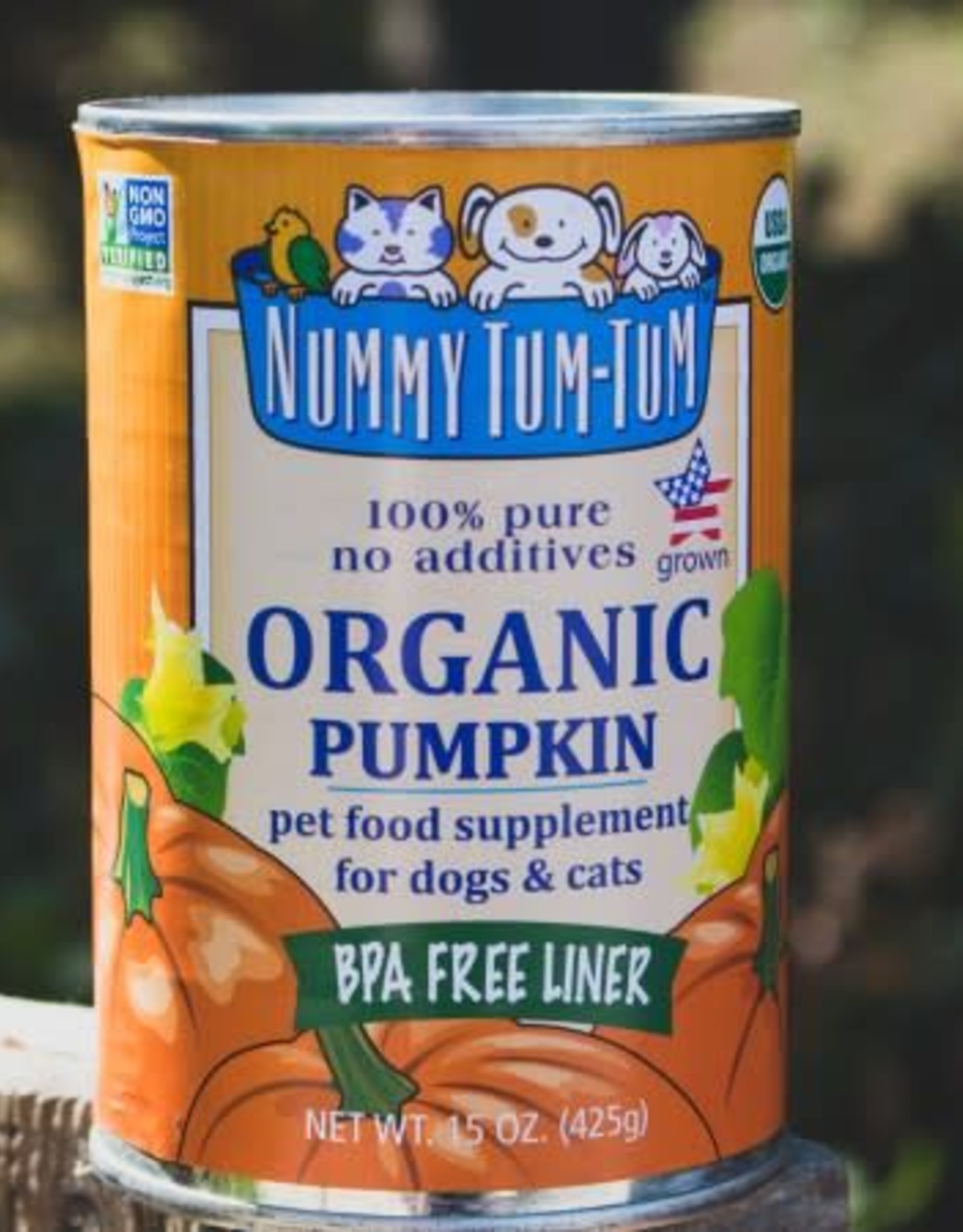 Nummy Tum Tum Nummy Tum Tum Pumpkin 15oz Case