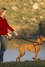 company of animals halti harness