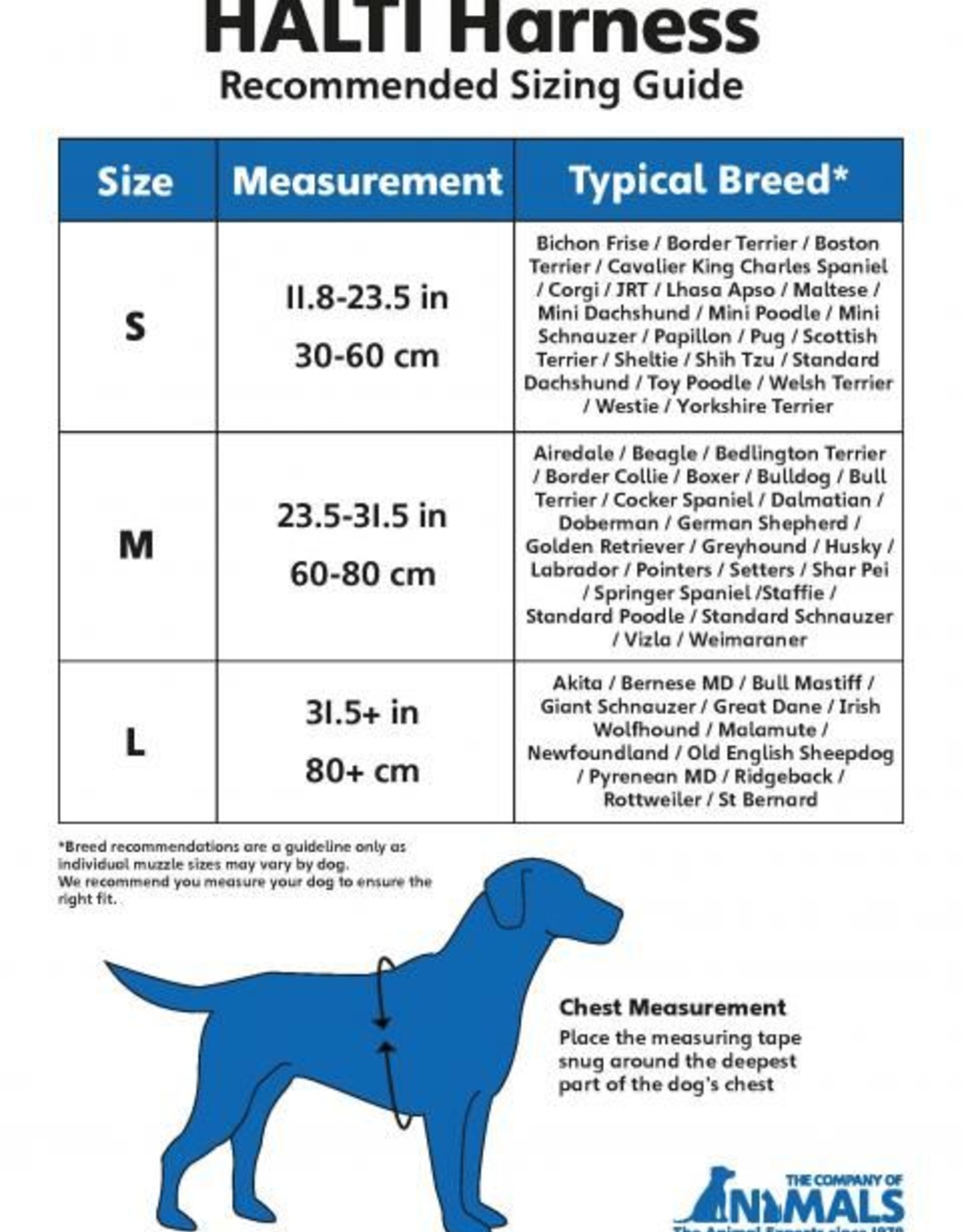 company of animals halti harness