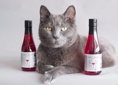 Pet Wine, Beer, & Coffee