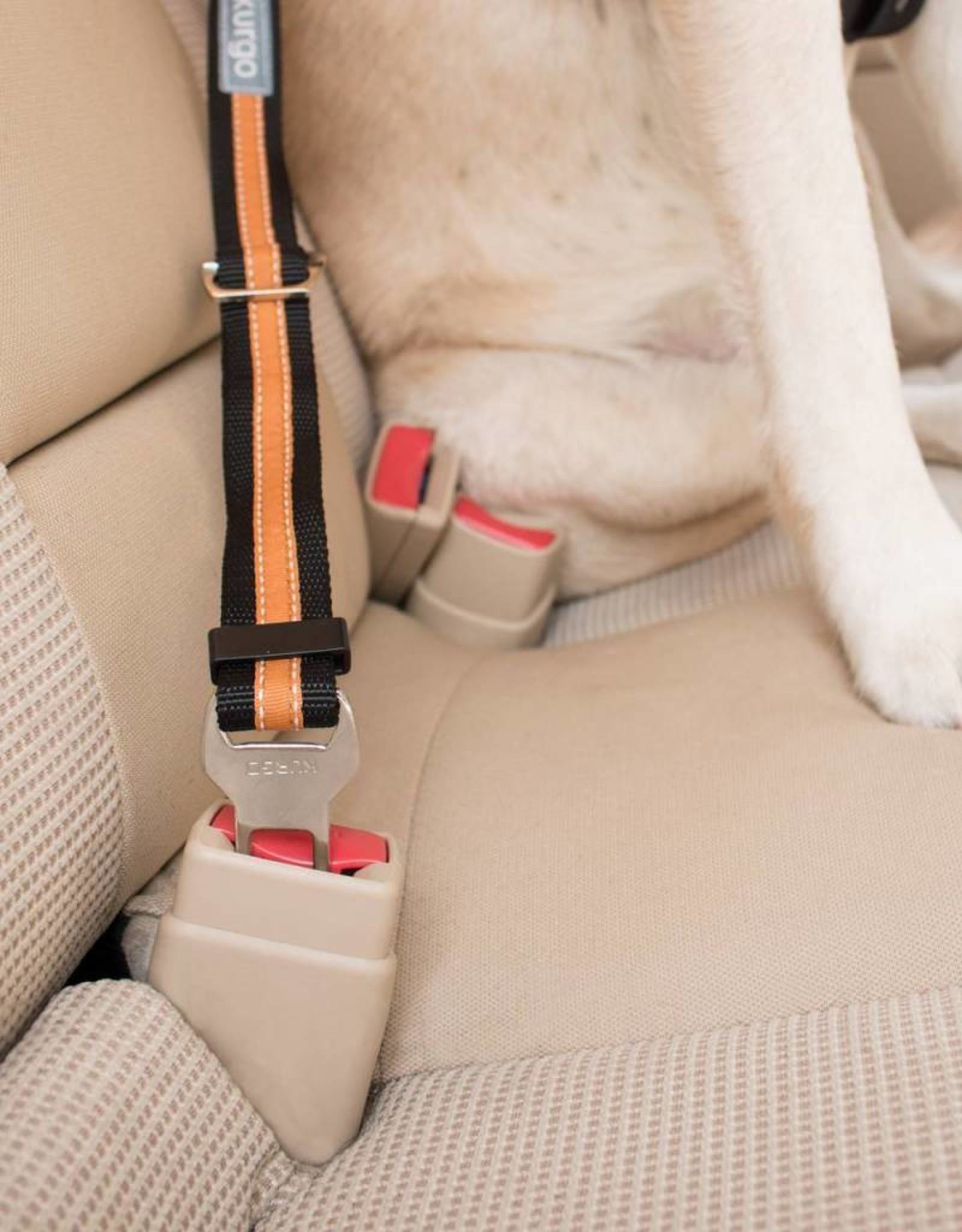 Kurgo Direct to Seatbelt Tether