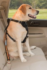 Kurgo Direct to Seatbelt Tether