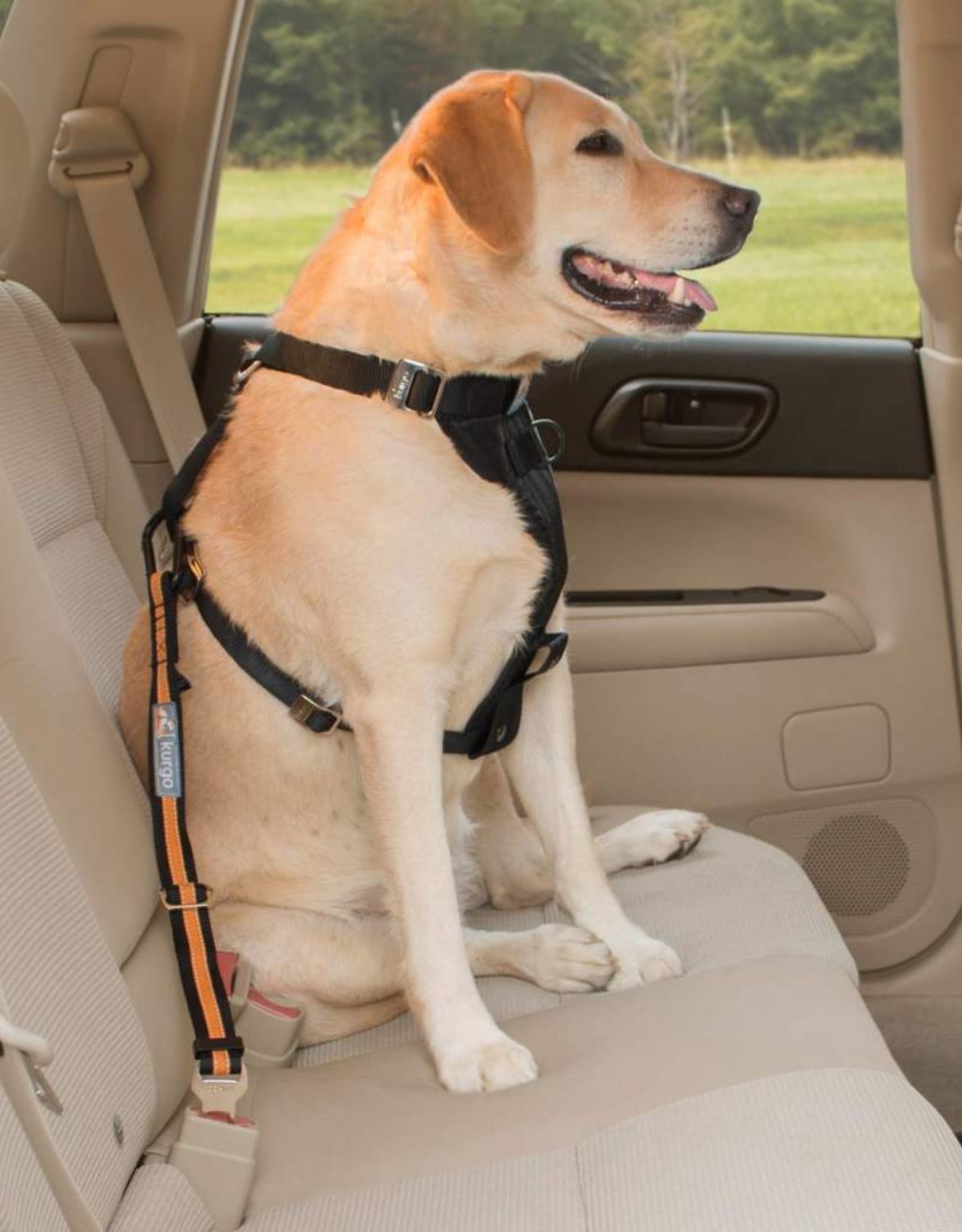 Kurgo Direct to Seatbelt Tether