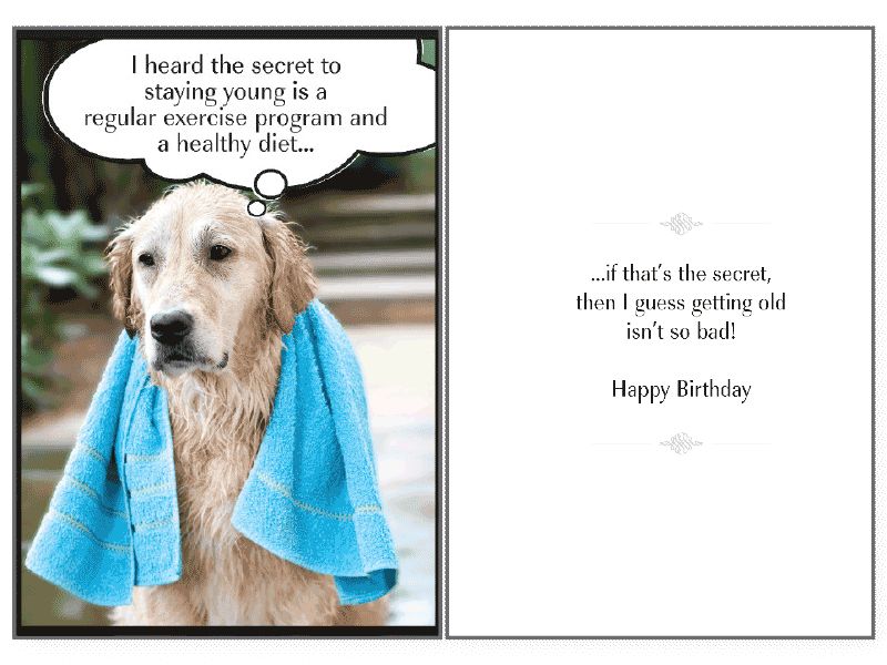Biglietto di auguri di buon compleanno per cane Weimaraner