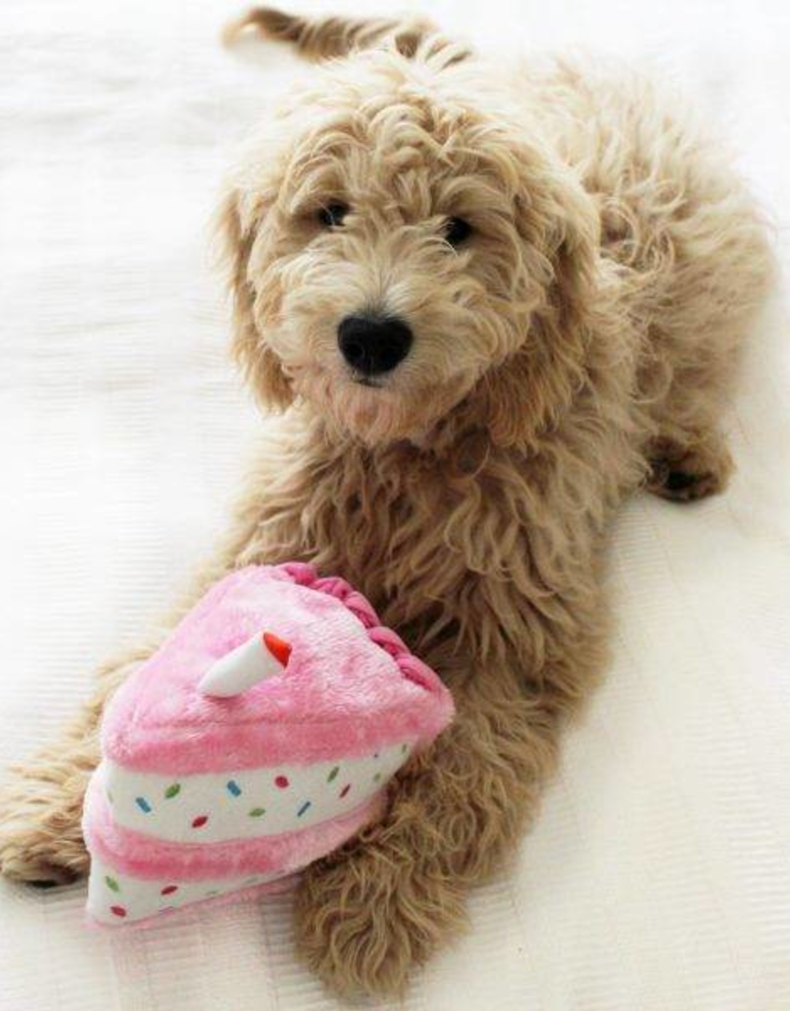 ZippyPaws Zippy Paws Birthday Cake - Pink