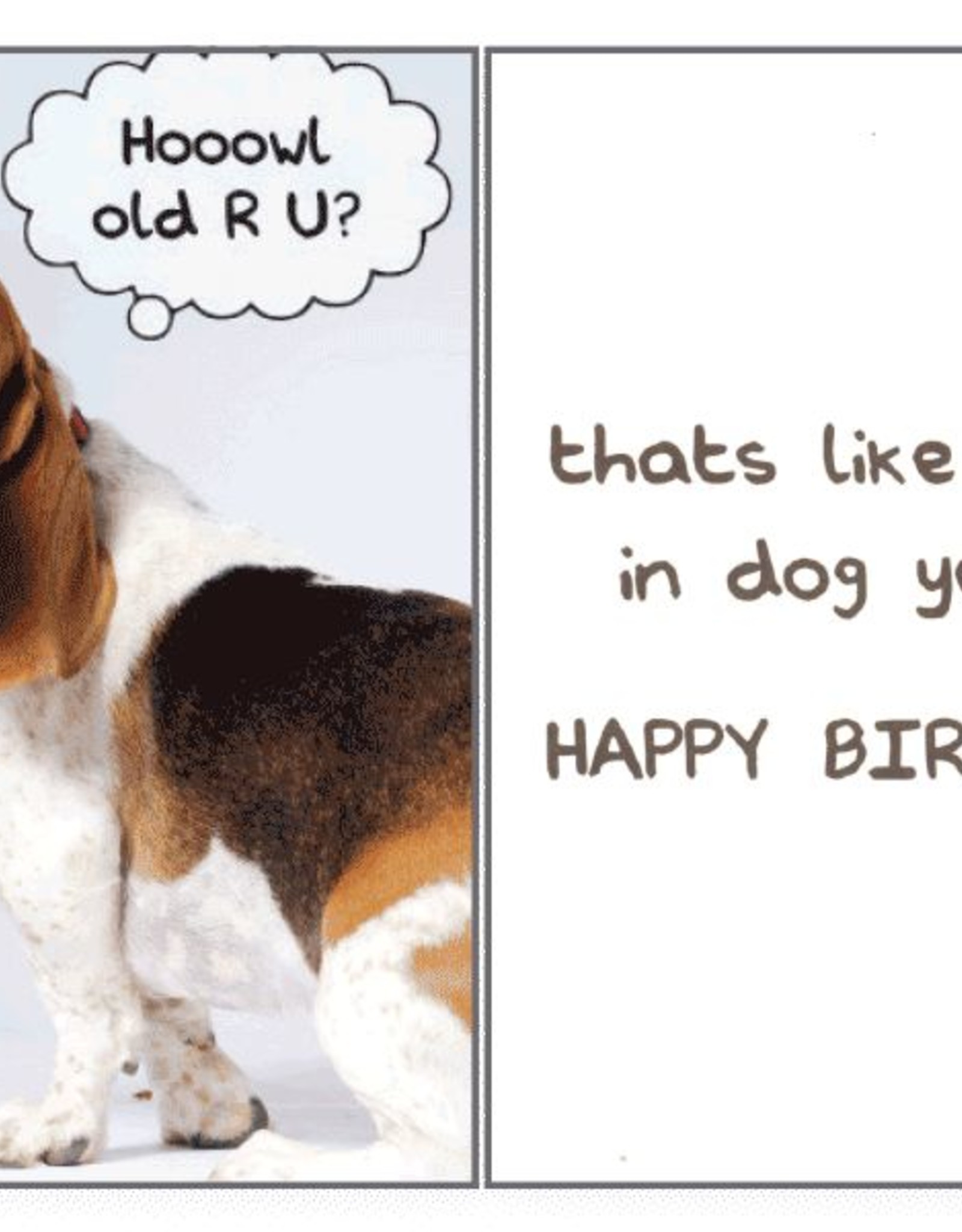 Dog Speak Dog Speak Card - Birthday - Hoowl Old R U?