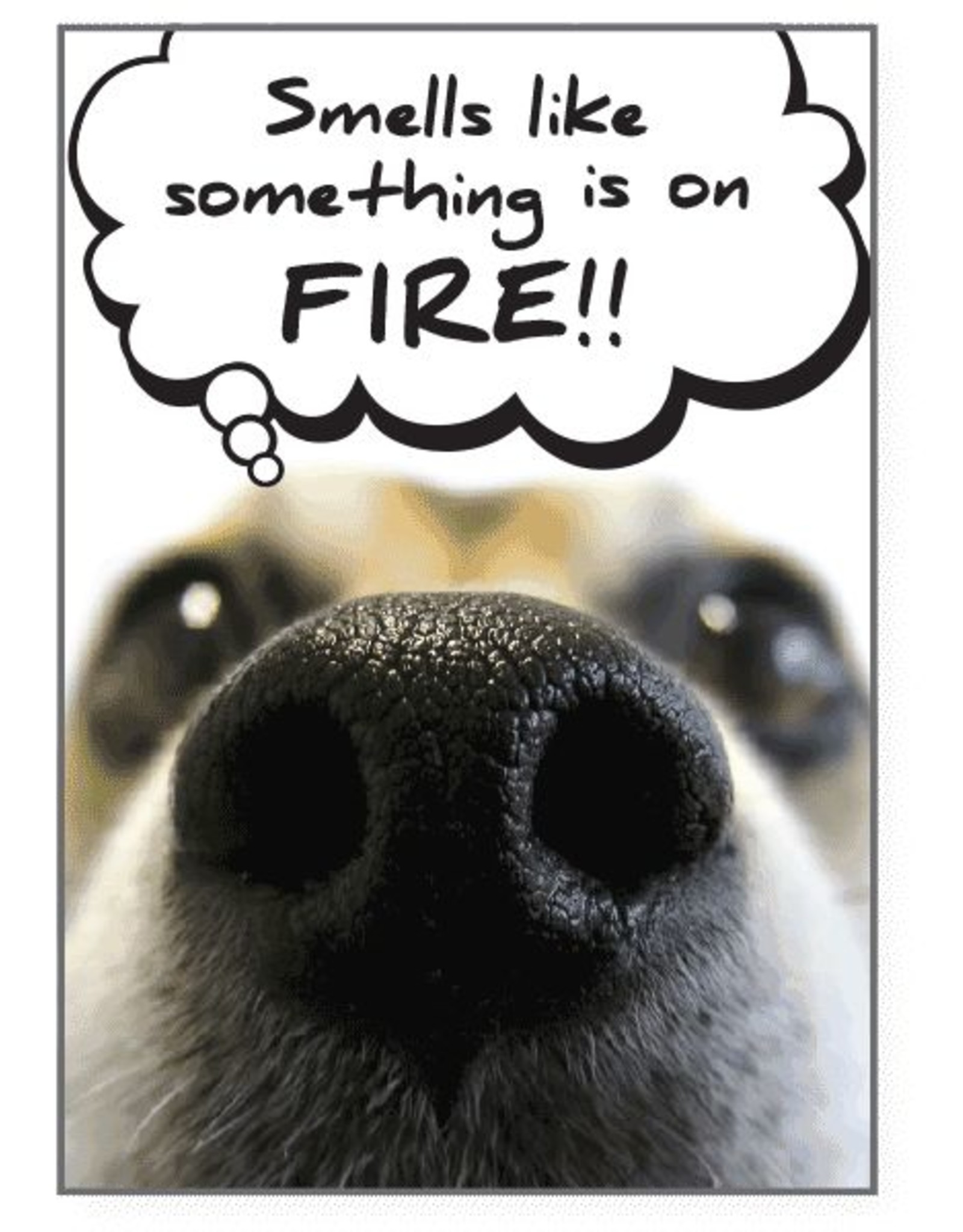 Dog Speak Dog Speak Card - Birthday - Smells Like Something is on Fire!
