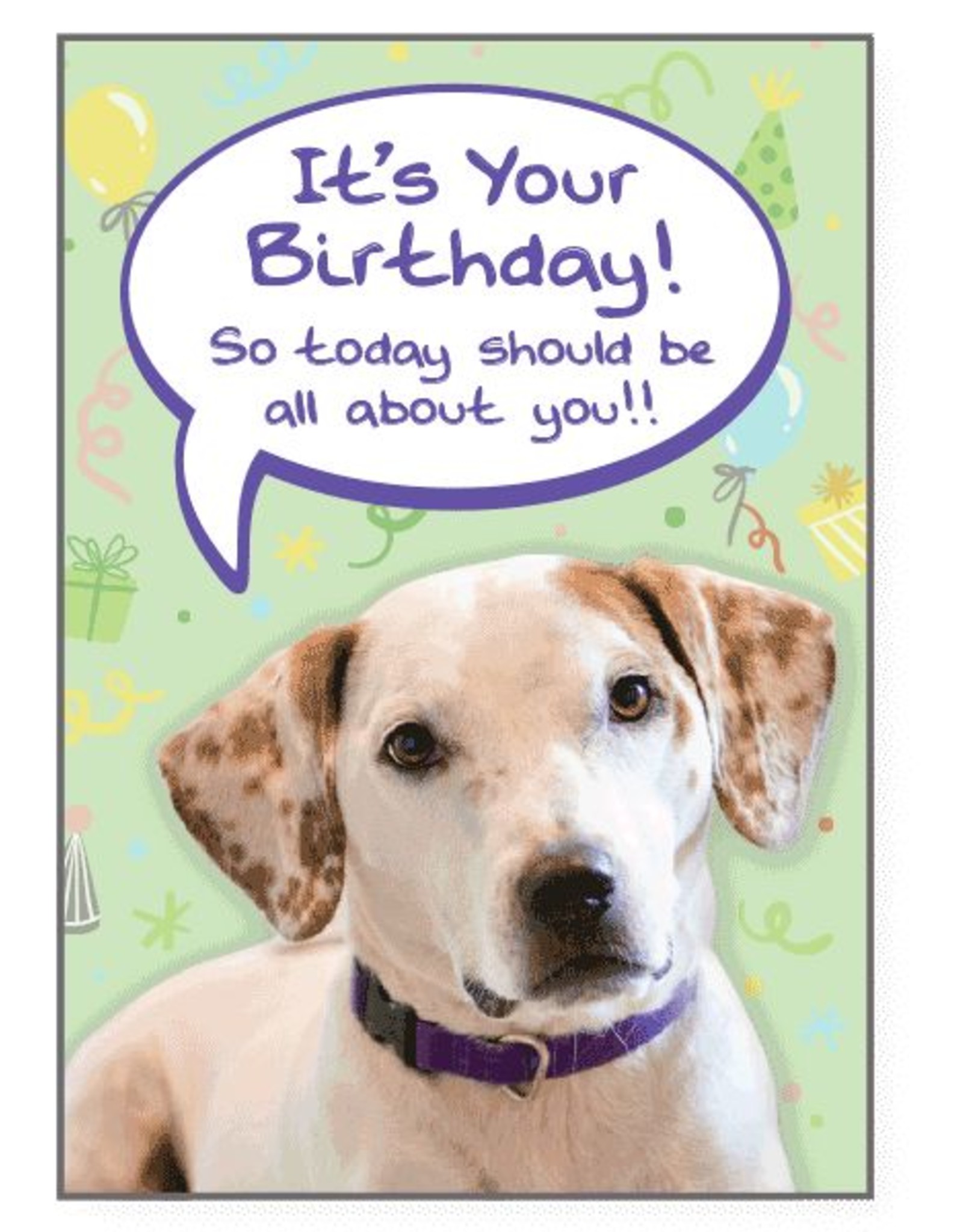 Dog Speak Dog Speak Card - Birthday - All About You