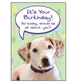 Dog Speak Dog Speak Card - Birthday - All About You