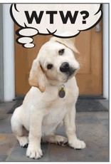 Dog Speak Dog Speak Card - Birthday - WTW?