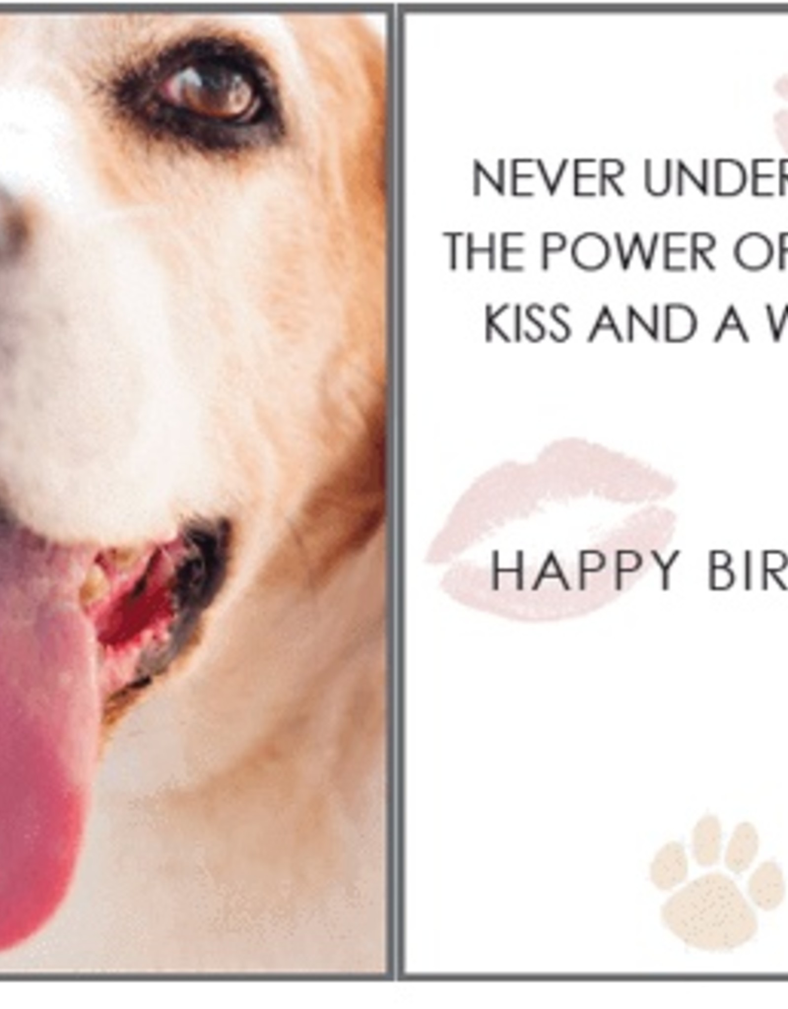 Dog Speak Dog Speak Card - Birthday - Sloppy Kiss