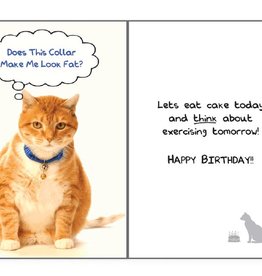 Dog Speak Dog Speak Card - Birthday - Does This Collar Make Me Look Fat?