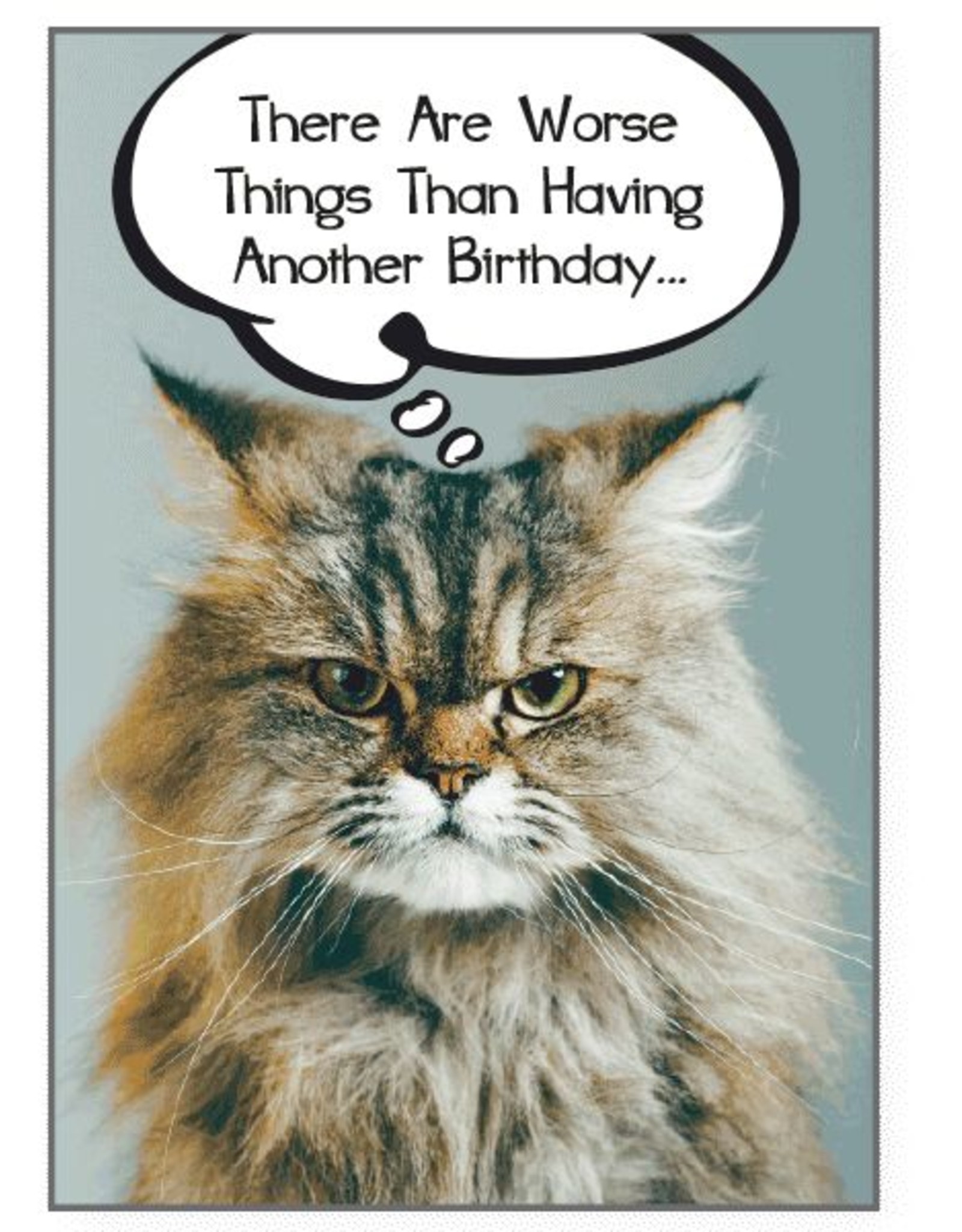 Dog Speak Dog Speak Card - Birthday - There Are Worse Things