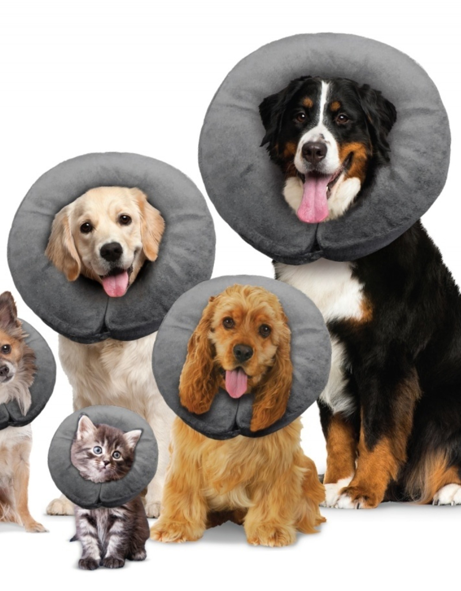 Arlee Comfurt Collar