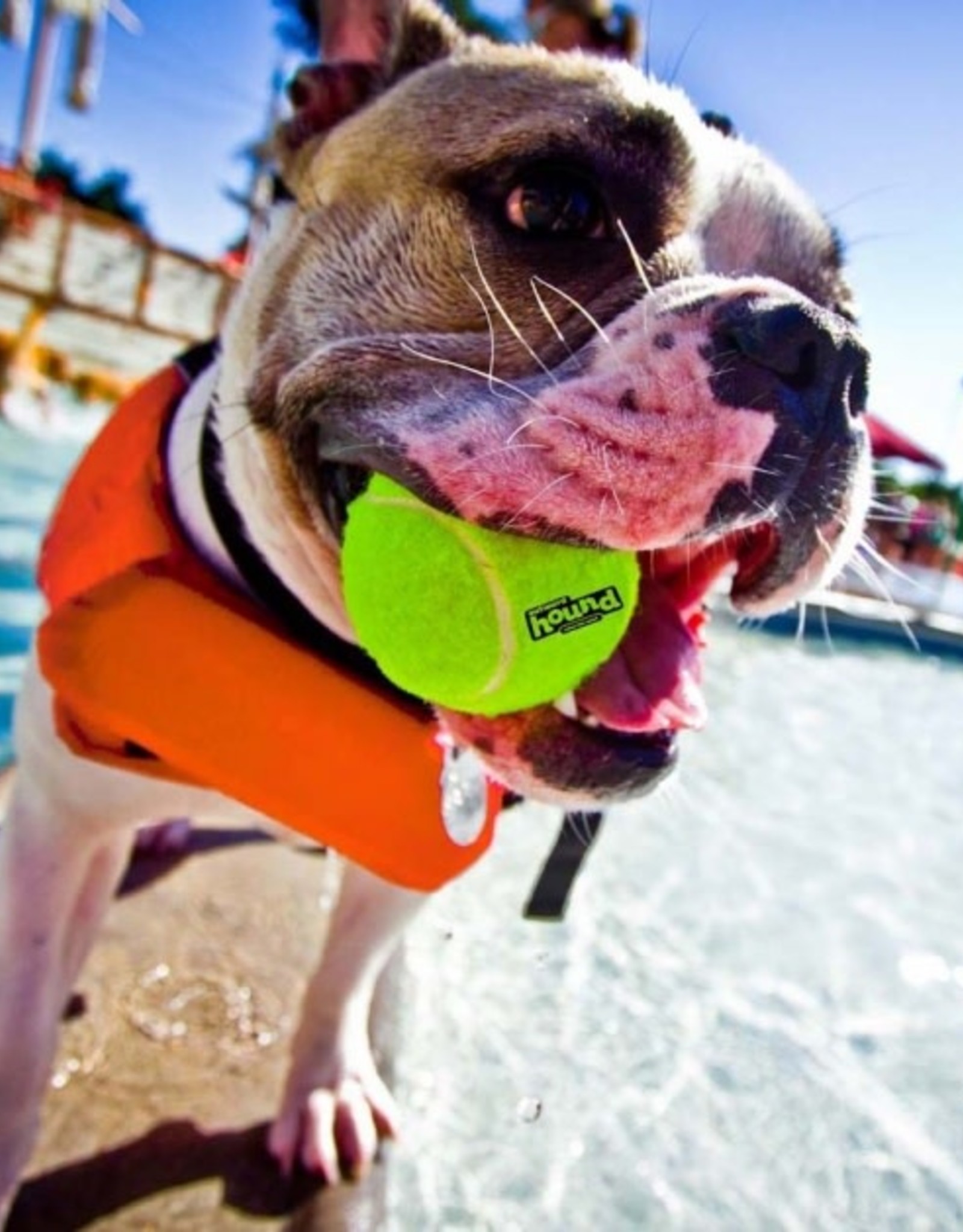 outward hound ripstop life jacket