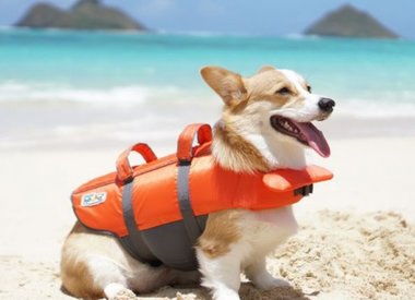 Life Jackets