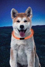 NiteHowl LED Safety Necklace