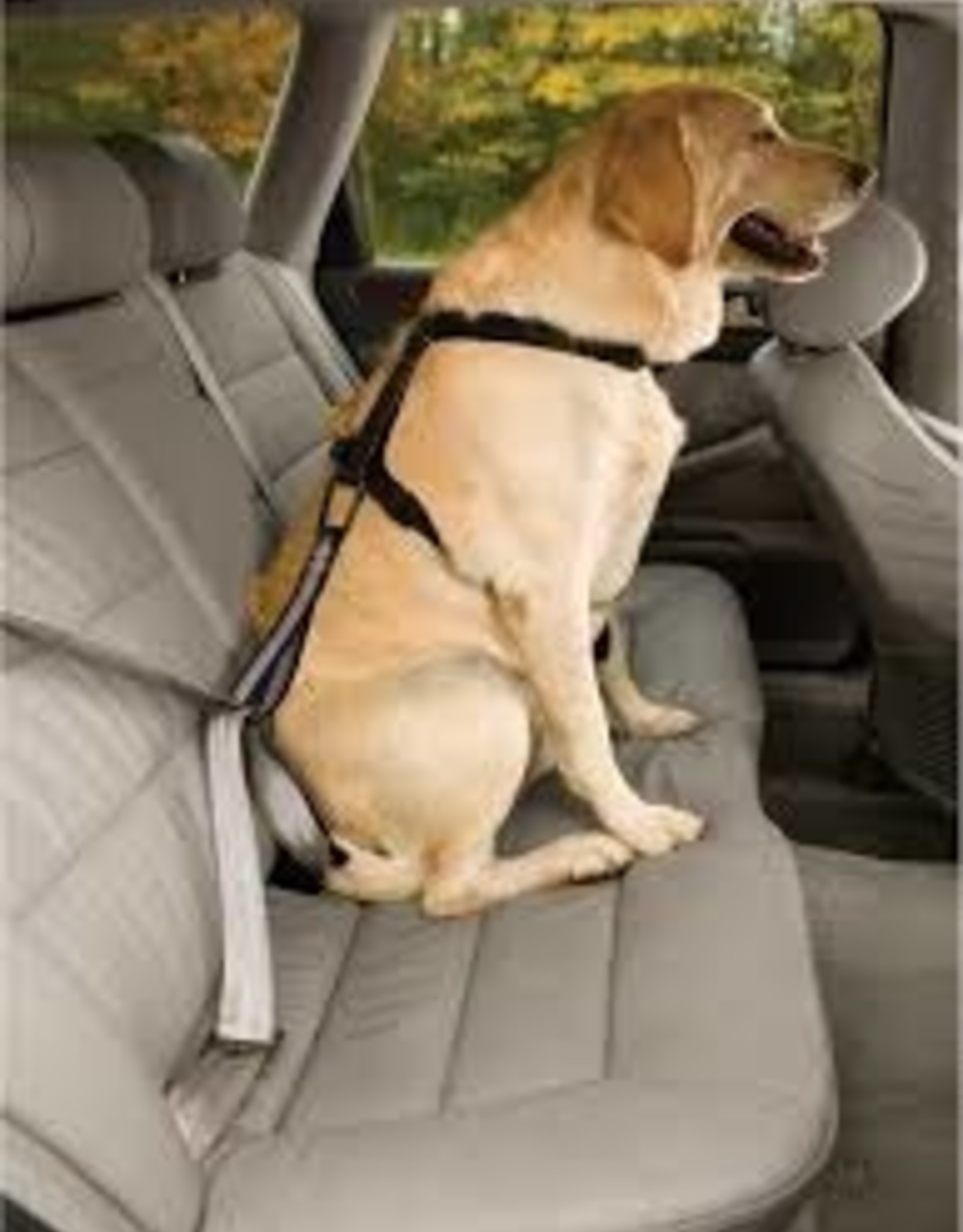 Kurgo Seat Belt Loop