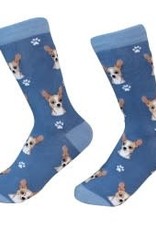 Chihuahua, Fawn Socks